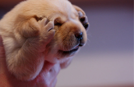 baa9babbd05c58984493924fd62c7cdf