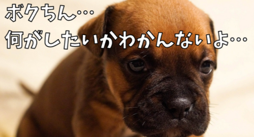 %e4%bd%95%e3%81%8c%e3%81%97%e3%81%9f%e3%81%84